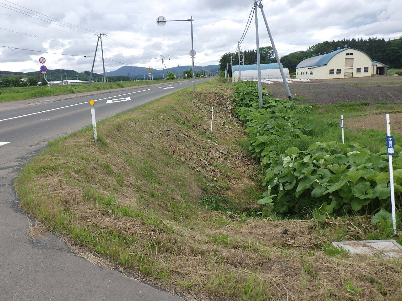 rimg2572.jpg