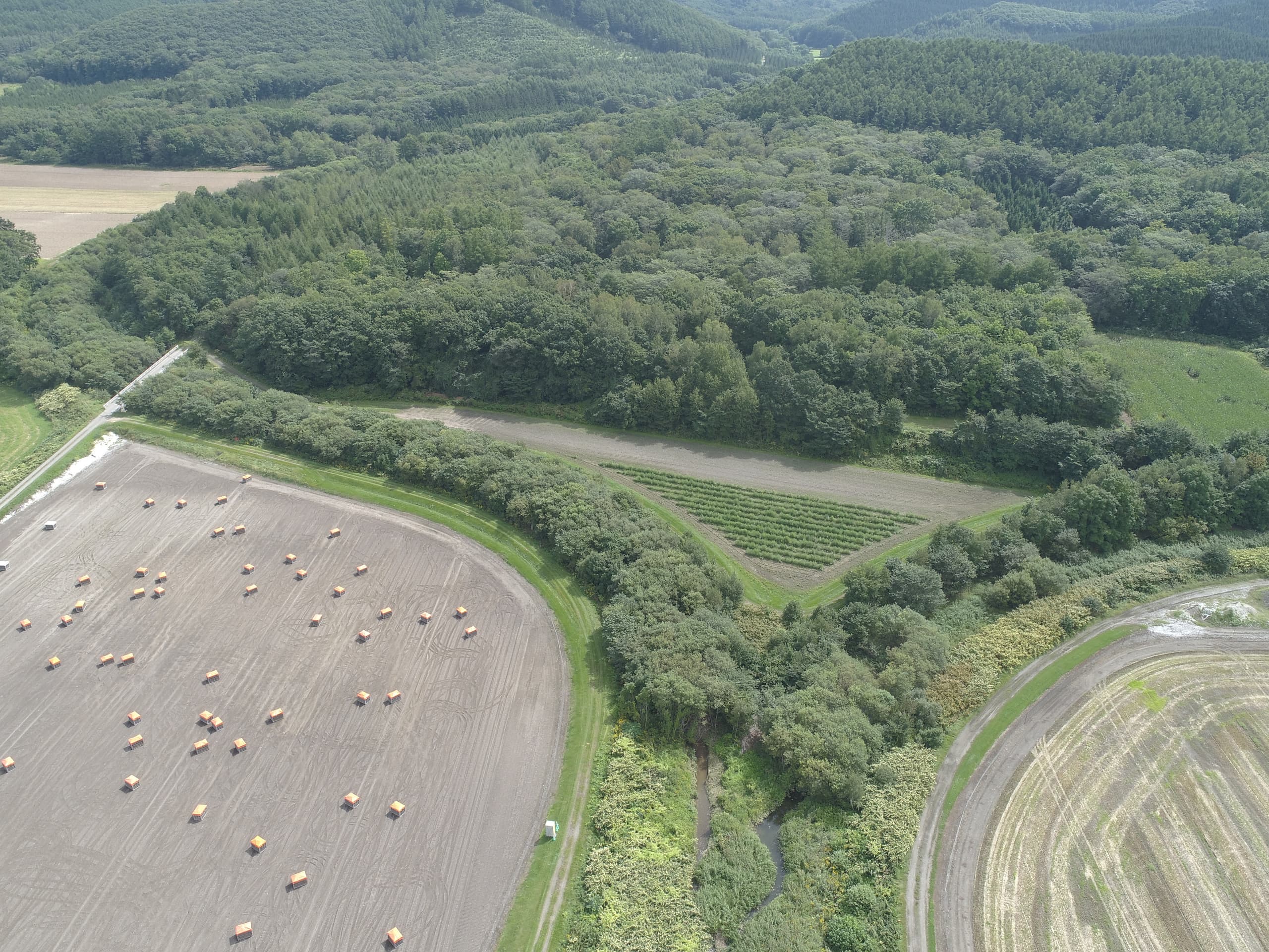 dji_0022.jpg
