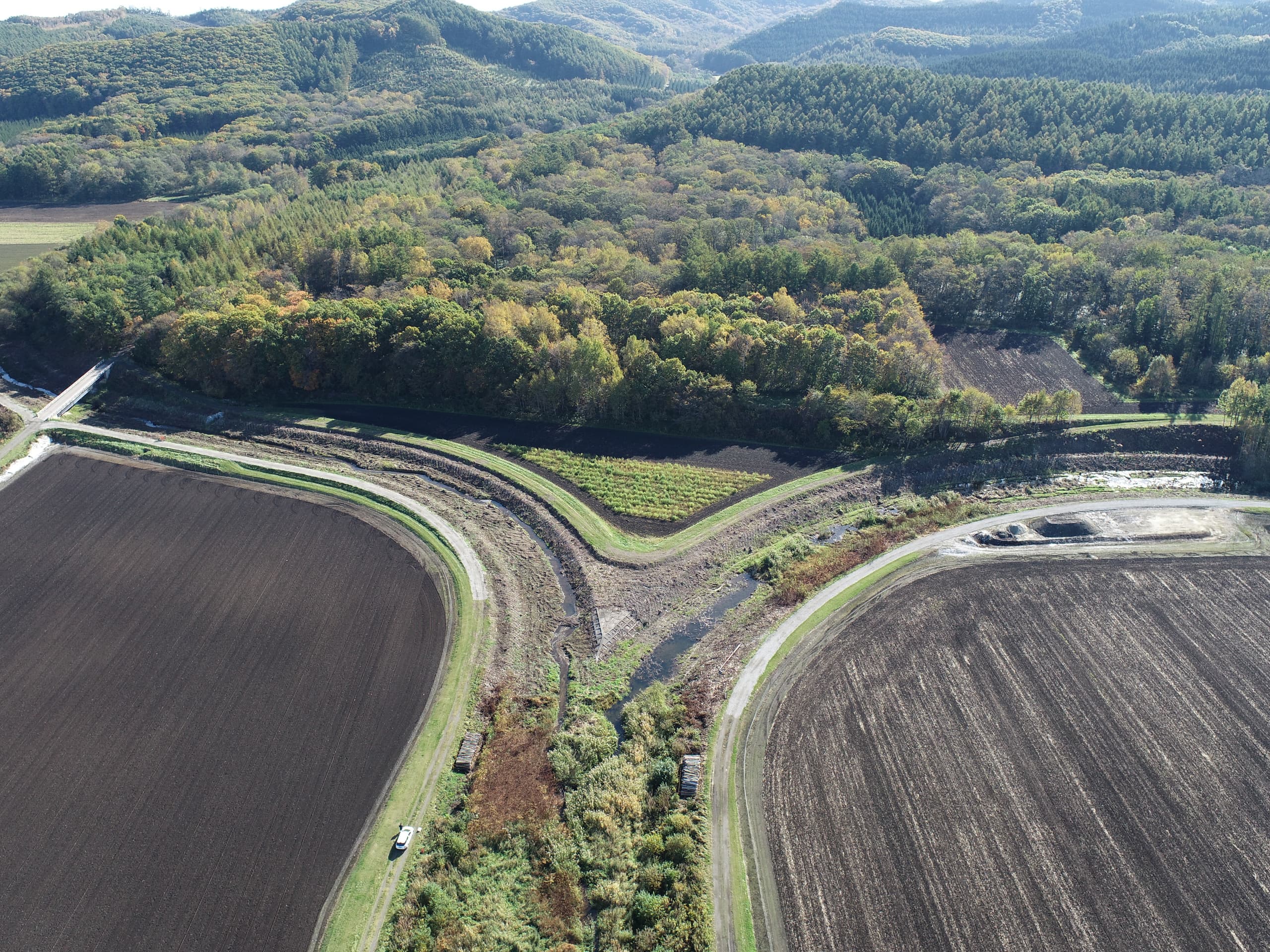 dji_0031.jpg