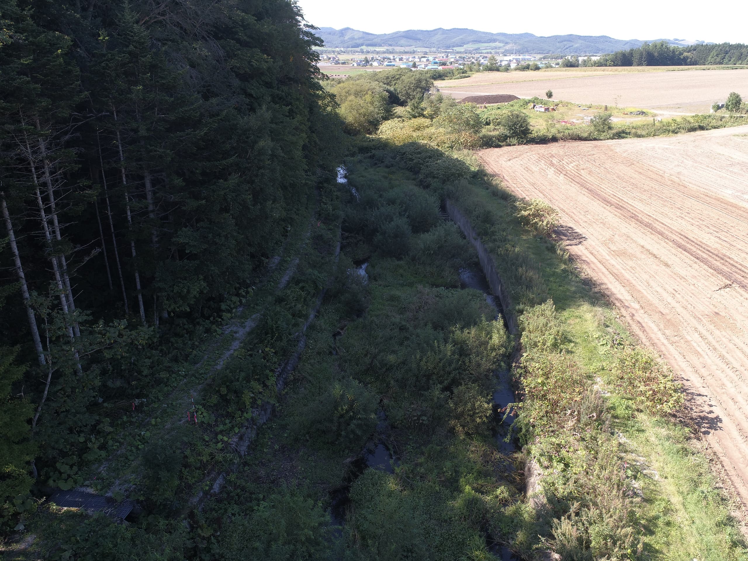 dji_0041.jpg
