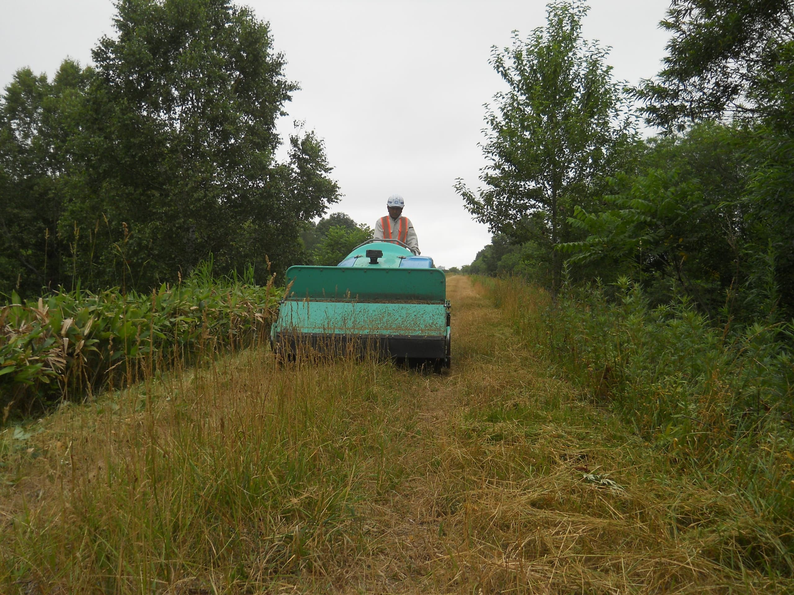 dscn6717.jpg